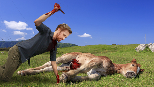Illustration for article titled 6 Times Ryan Gosling Was So Sexy It Didn’t Even Matter He Was Hunting Horses